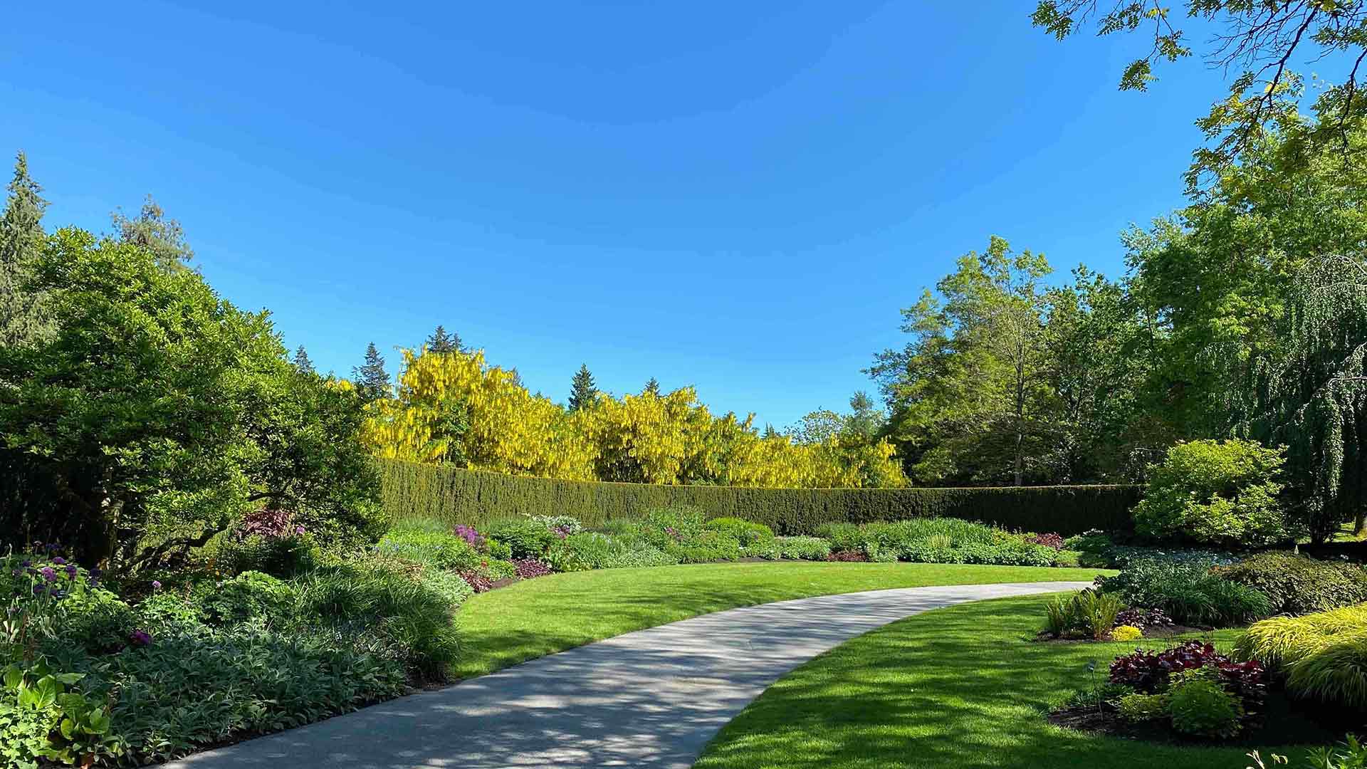 Lawn Care Background